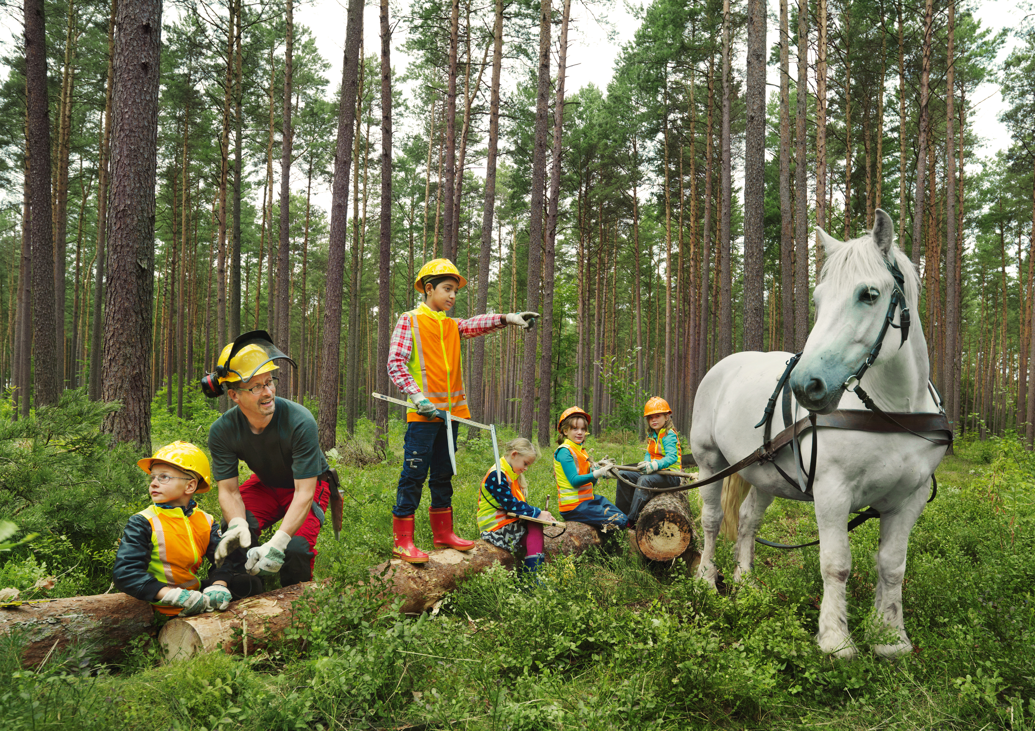 In einem Wald steht rechts ein weißes Pferd. Links davon sind eine Gruppe Kinder mit Warnwesten und Helmen, die mit einem Förster einen Holzstamm bearbeiten. 