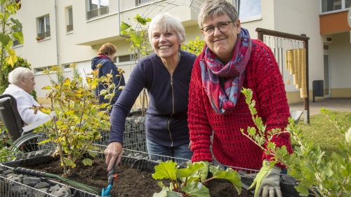 Zwei Seniorinnen sind fleißig bei einem Gartenarbeitseinsatz und lächeln dabei in die Kamera
