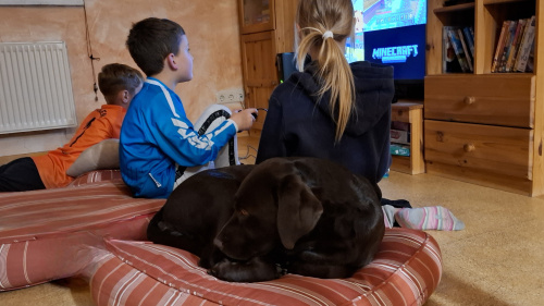 Drei Kinder spielen ein Videospiel, ein Hund schläft daneben.