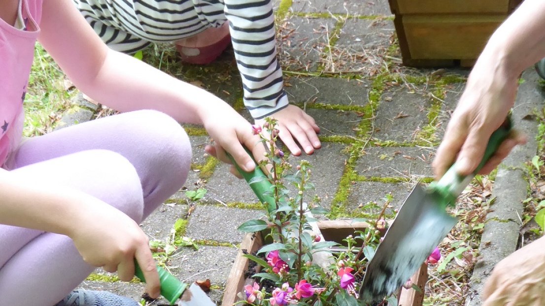 Nahaufnahme von Händen in Aktion: Kinder und Erwachsene bepflanzen einen Blumenkasten mit kleinen bunten Blumen.