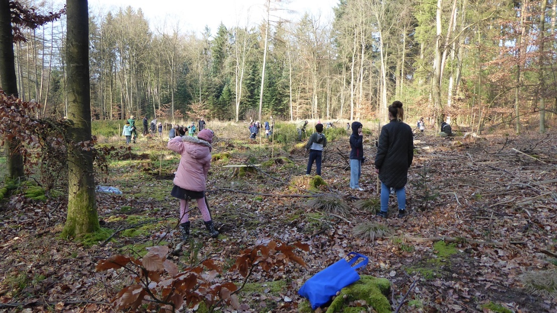 Auf einer Lichtung im Wald haben sich viele Kinder versammelt, die gemeinsam mit Erwachsenen an verschiedenen Stellen etwas pflanzen