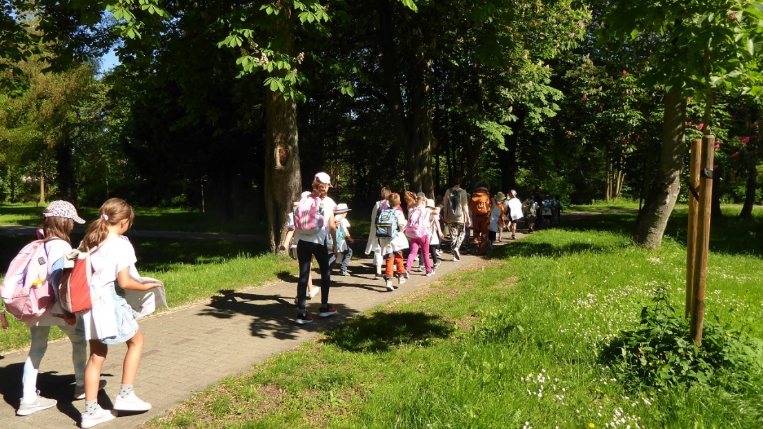 Mehrere Erwachsene und Kinder sind vom Rücken aus sichtbar: Sie laufen über einen Pflasterweg von einer sonnigen Wiese in einen schattigen Waldabschnitt. Sie tragen sommerliche Kleidung und teilweise Rucksäcke.