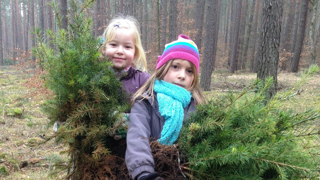 Zwei Mädchen halten junge Tannenbäumchen mit Wurzeln in den Händen im Wald.