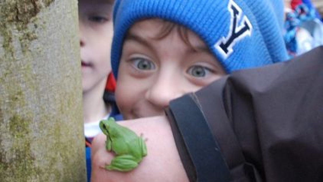Ein Kind schaut mit großen Augen auf ein grünes Frosch, welcher auf der Hand eines Mannes sitzt.